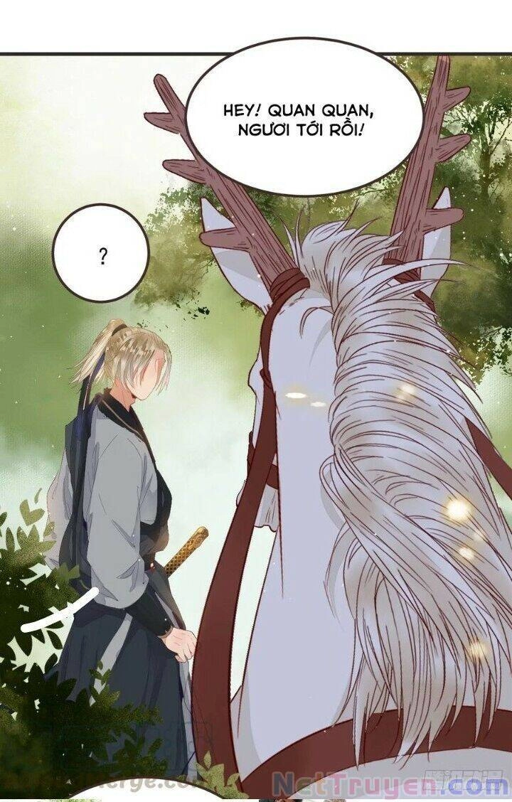 Tuyệt Sắc Quyến Rũ: Quỷ Y Chí Tôn Chapter 265 - 5