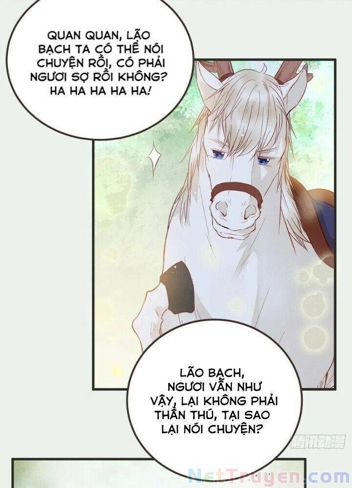 Tuyệt Sắc Quyến Rũ: Quỷ Y Chí Tôn Chapter 265 - 6