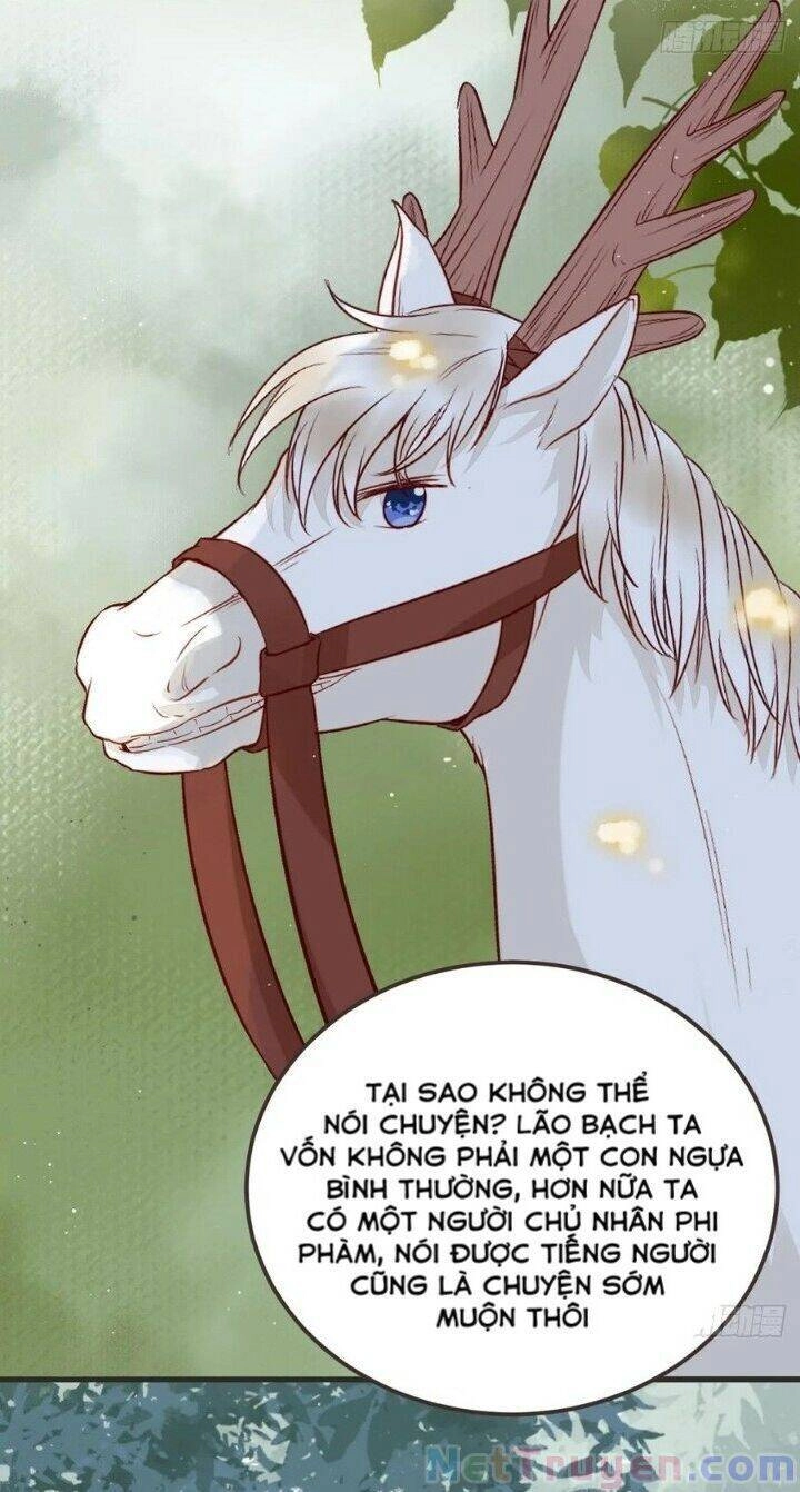 Tuyệt Sắc Quyến Rũ: Quỷ Y Chí Tôn Chapter 265 - 8