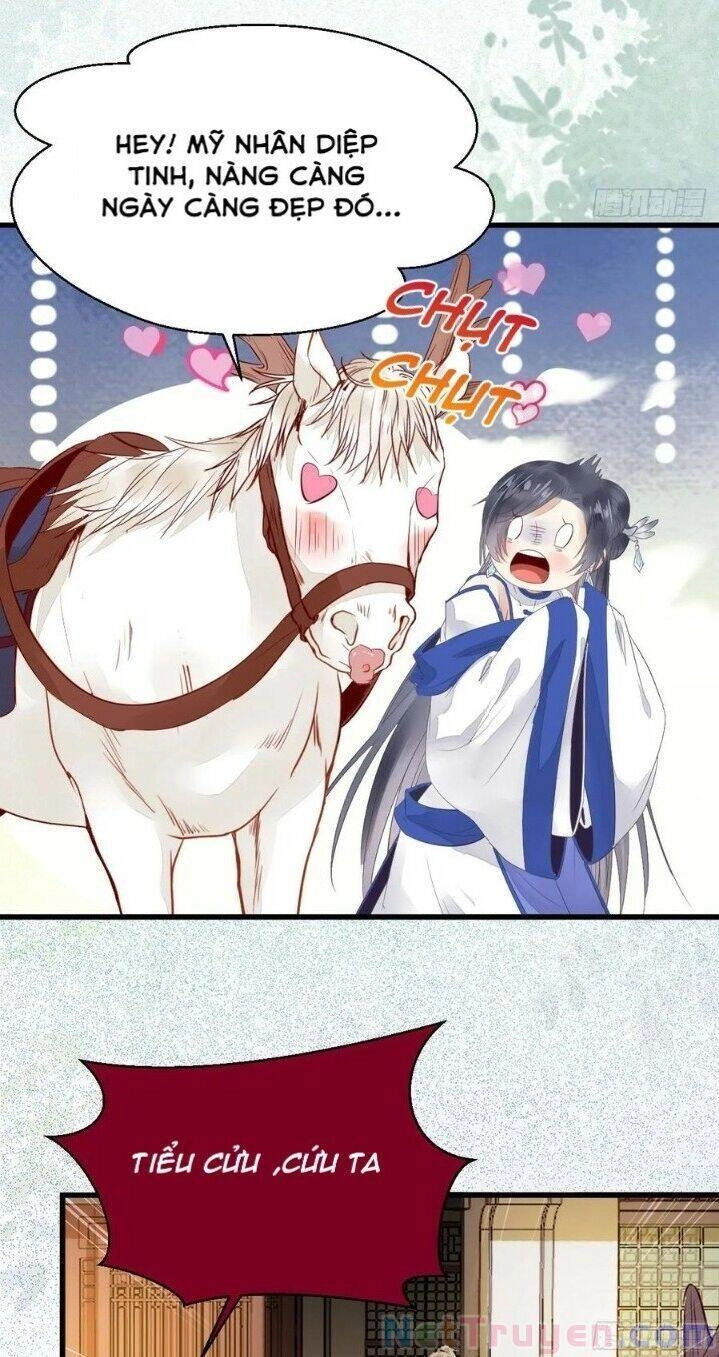 Tuyệt Sắc Quyến Rũ: Quỷ Y Chí Tôn Chapter 265 - 22