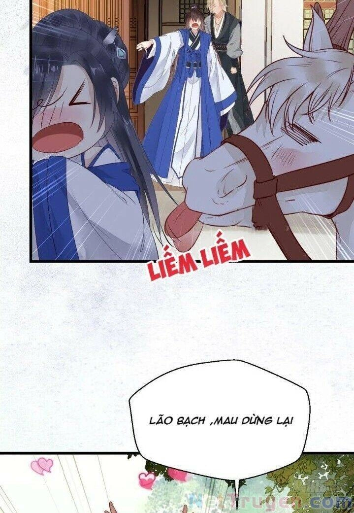 Tuyệt Sắc Quyến Rũ: Quỷ Y Chí Tôn Chapter 265 - 23