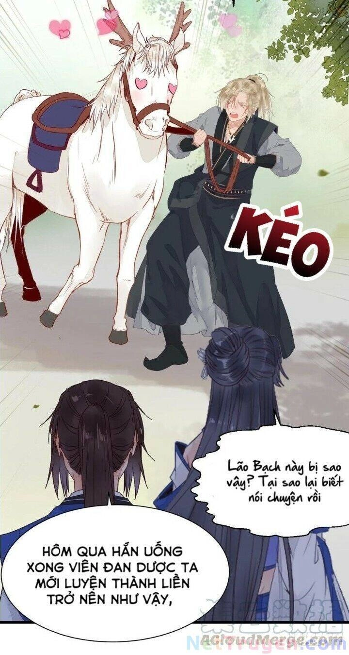 Tuyệt Sắc Quyến Rũ: Quỷ Y Chí Tôn Chapter 265 - 24