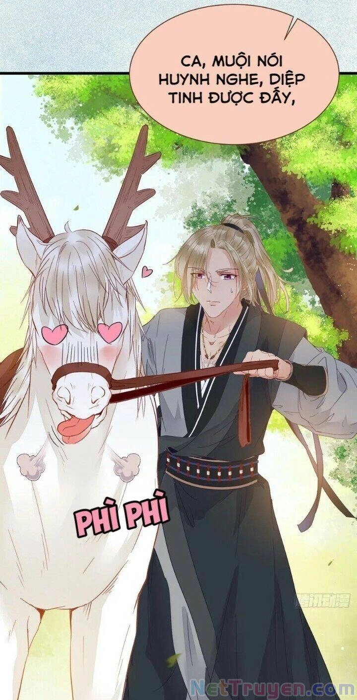 Tuyệt Sắc Quyến Rũ: Quỷ Y Chí Tôn Chapter 265 - 26