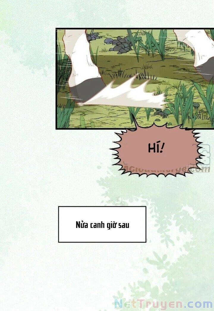 Tuyệt Sắc Quyến Rũ: Quỷ Y Chí Tôn Chapter 265 - 37