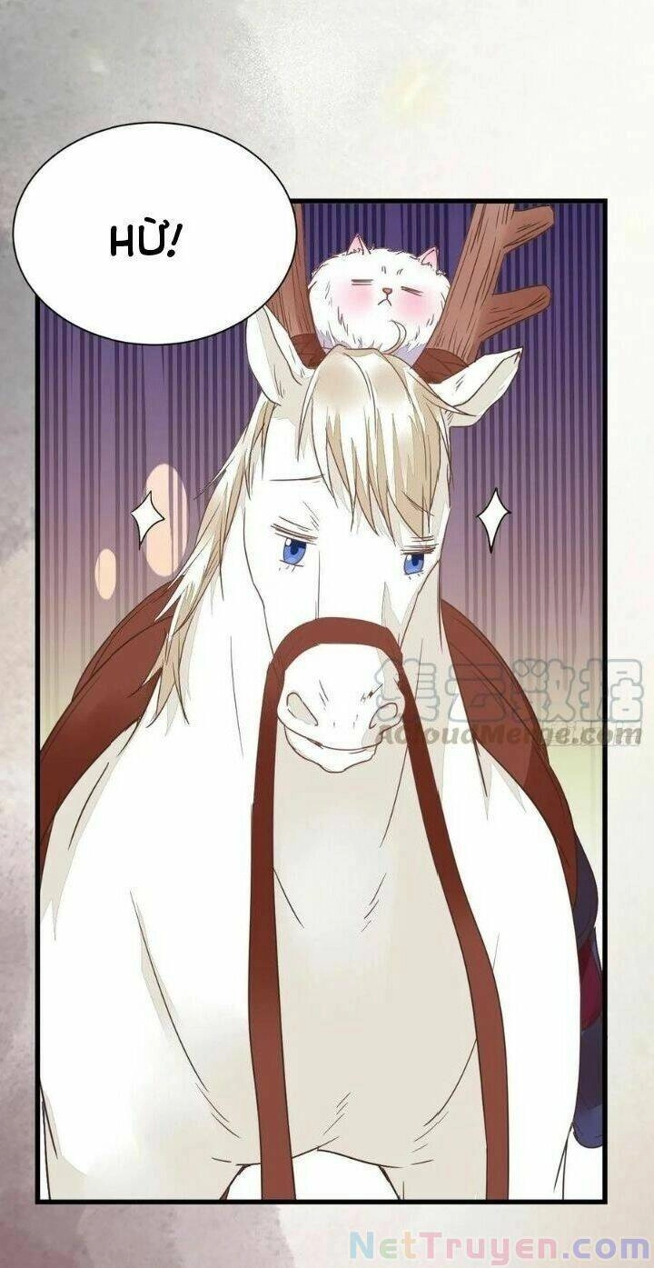 Tuyệt Sắc Quyến Rũ: Quỷ Y Chí Tôn Chapter 280 - 29