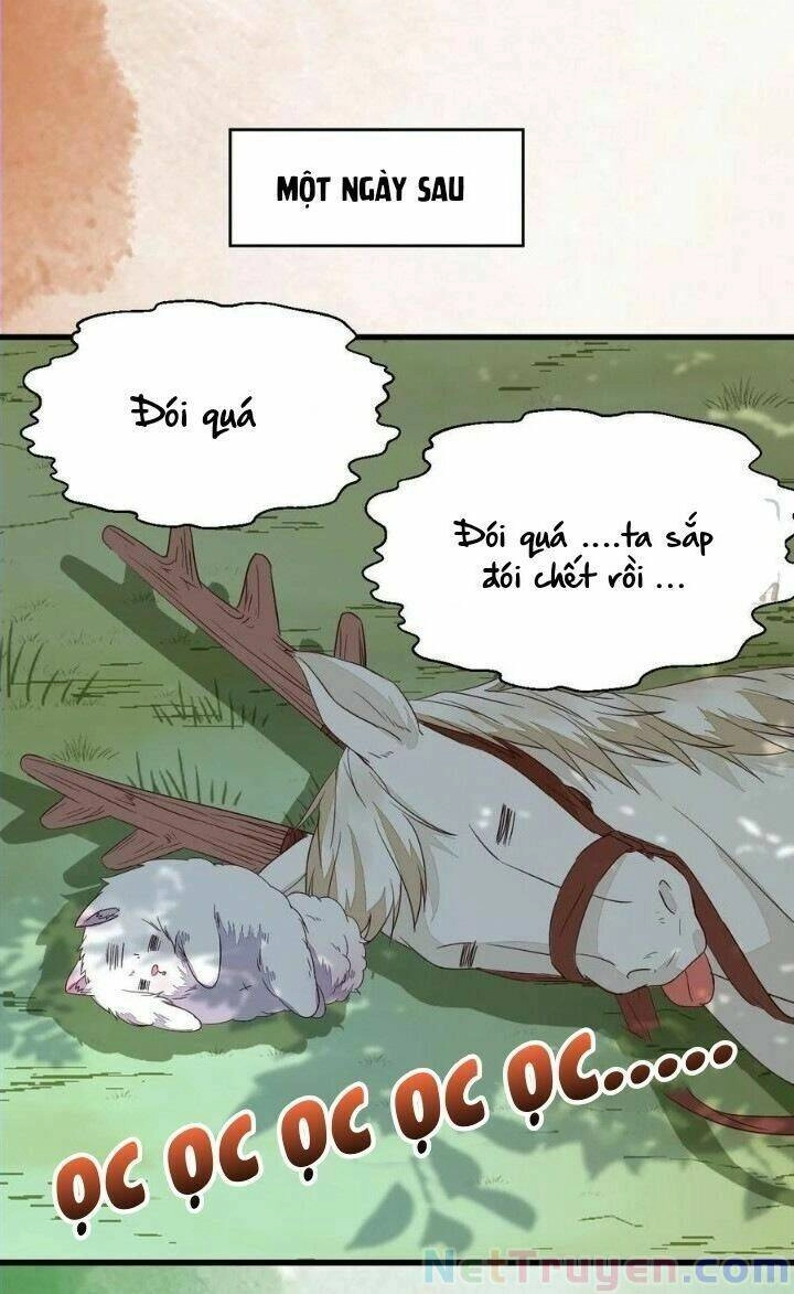 Tuyệt Sắc Quyến Rũ: Quỷ Y Chí Tôn Chapter 280 - 33