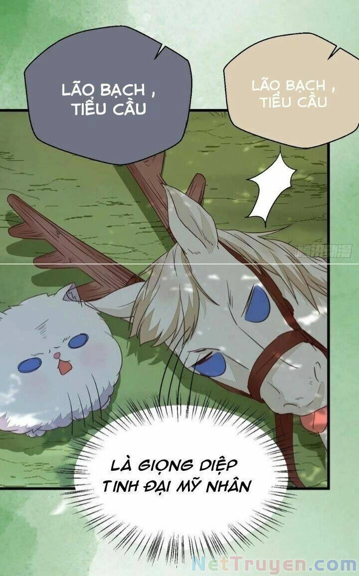 Tuyệt Sắc Quyến Rũ: Quỷ Y Chí Tôn Chapter 280 - 34