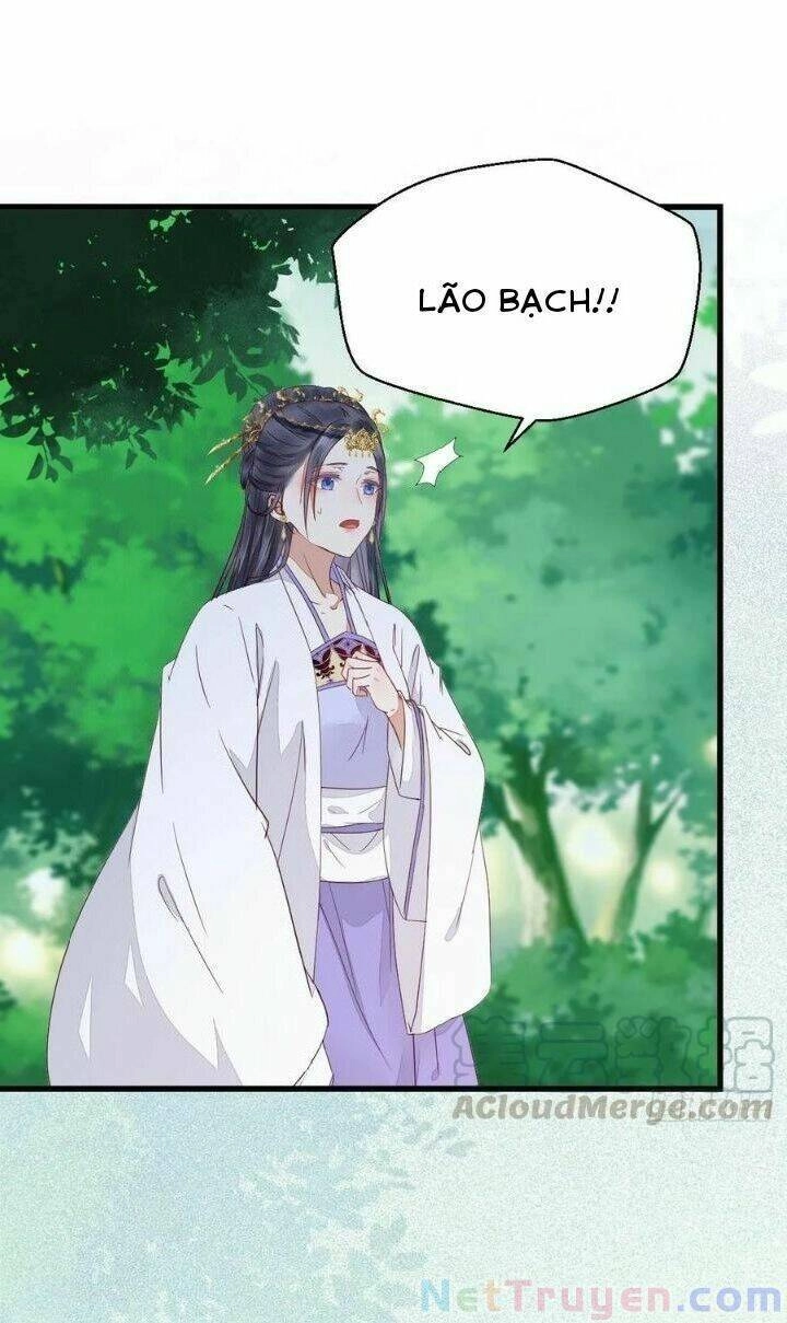 Tuyệt Sắc Quyến Rũ: Quỷ Y Chí Tôn Chapter 280 - 36