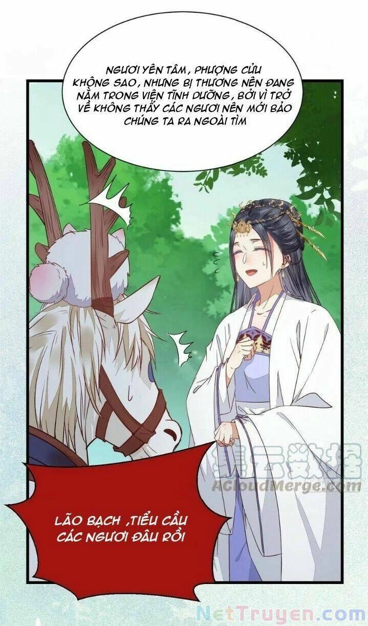 Tuyệt Sắc Quyến Rũ: Quỷ Y Chí Tôn Chapter 280 - 40