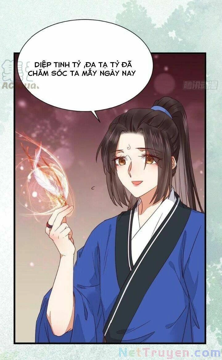 Tuyệt Sắc Quyến Rũ: Quỷ Y Chí Tôn Chapter 280 - 44