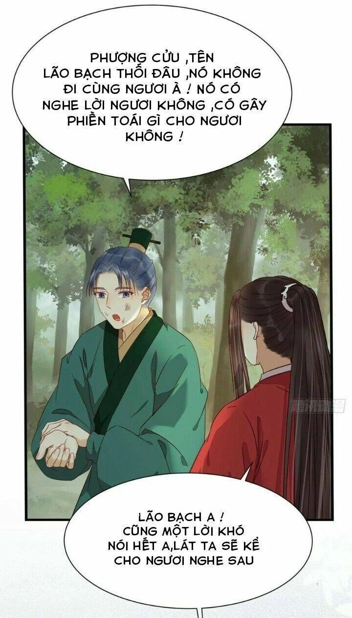 Tuyệt Sắc Quyến Rũ: Quỷ Y Chí Tôn Chapter 284 - 7