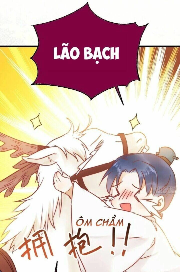 Tuyệt Sắc Quyến Rũ: Quỷ Y Chí Tôn Chapter 310 - 48