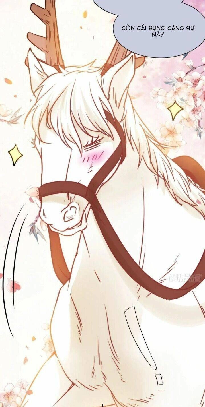 Tuyệt Sắc Quyến Rũ: Quỷ Y Chí Tôn Chapter 310 - 50