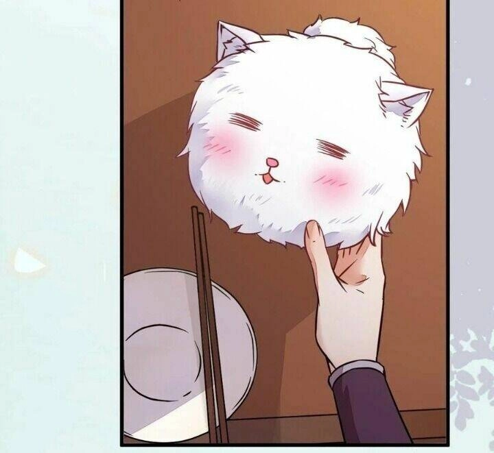 Tuyệt Sắc Quyến Rũ: Quỷ Y Chí Tôn Chapter 327 - 28