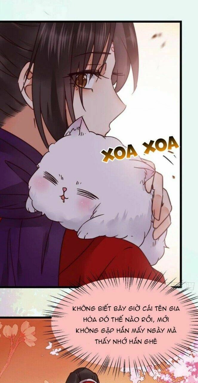 Tuyệt Sắc Quyến Rũ: Quỷ Y Chí Tôn Chapter 330 - 25