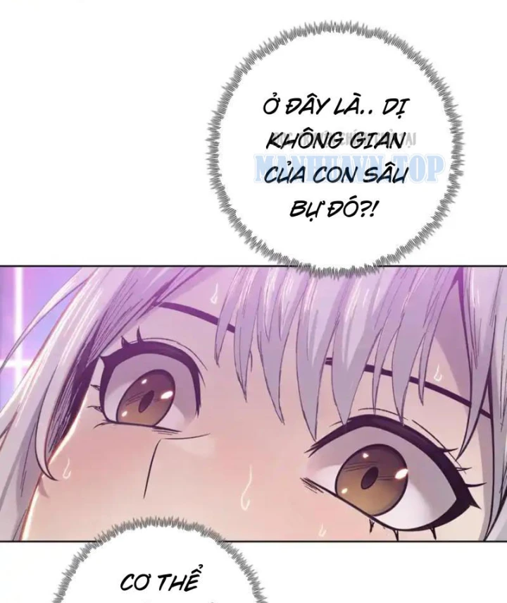 Kẻ Tàn Nhẫn Ngày Tận Thế: Bắt Đầu Dự Trữ Hàng Tỷ Tấn Vật Tư Chapter 102 - 82