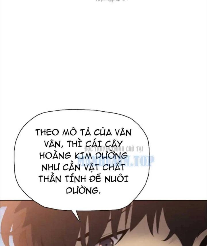 Kẻ Tàn Nhẫn Ngày Tận Thế: Bắt Đầu Dự Trữ Hàng Tỷ Tấn Vật Tư Chapter 124 - 77