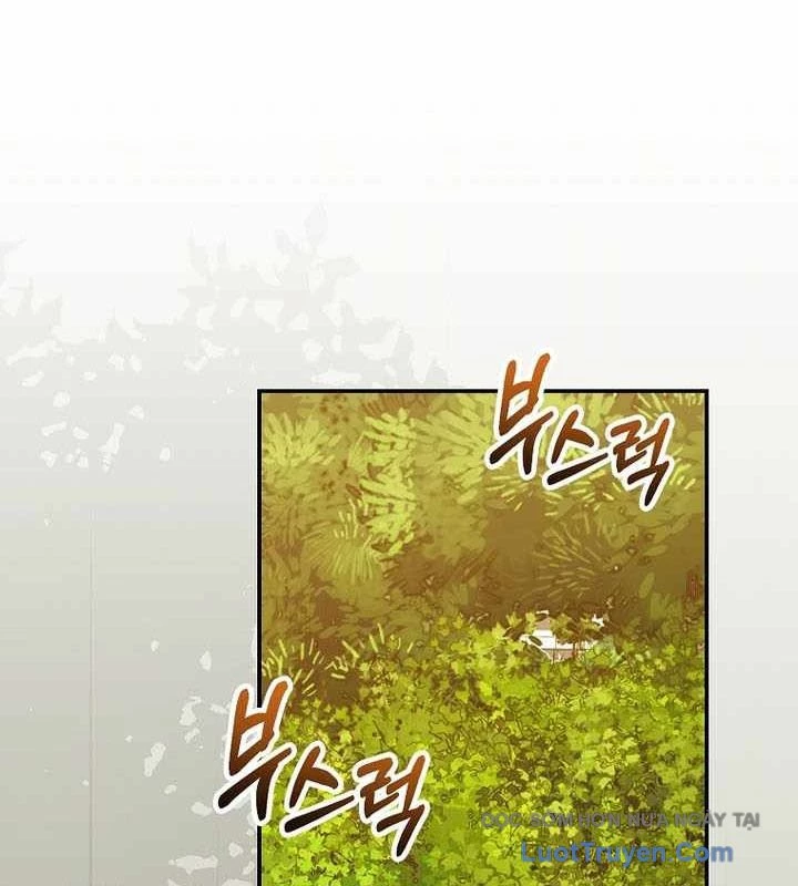 Chuyển Sinh Thành Thiên Tài Xuất Chúng Của Danh Môn Thế Gia Chapter 66 - 12