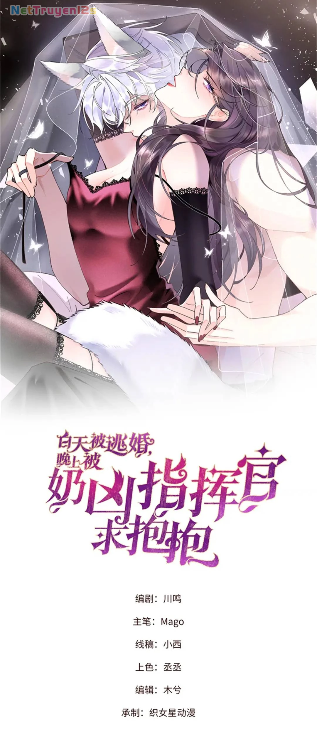 Ban Ngày Bị Hủy Hôn, Buổi Tối Bị Chỉ Huy Vừa Đáng Yêu Vừa Hung Dữ Đòi Ôm. Chapter 195 - 1