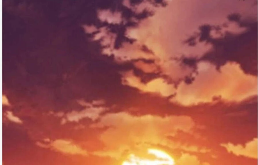 Cái Bóng Vạn Năng Chapter 98 - 75