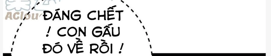 Cái Bóng Vạn Năng Chapter 127 - 34