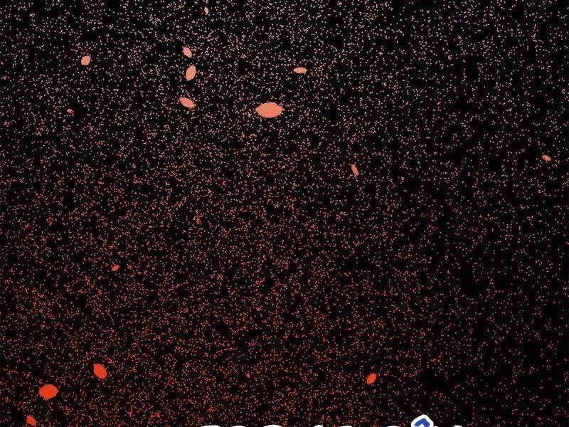 Cái Bóng Vạn Năng Chapter 146 - 103