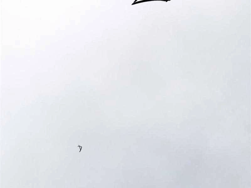 Cái Bóng Vạn Năng Chapter 156 - 93