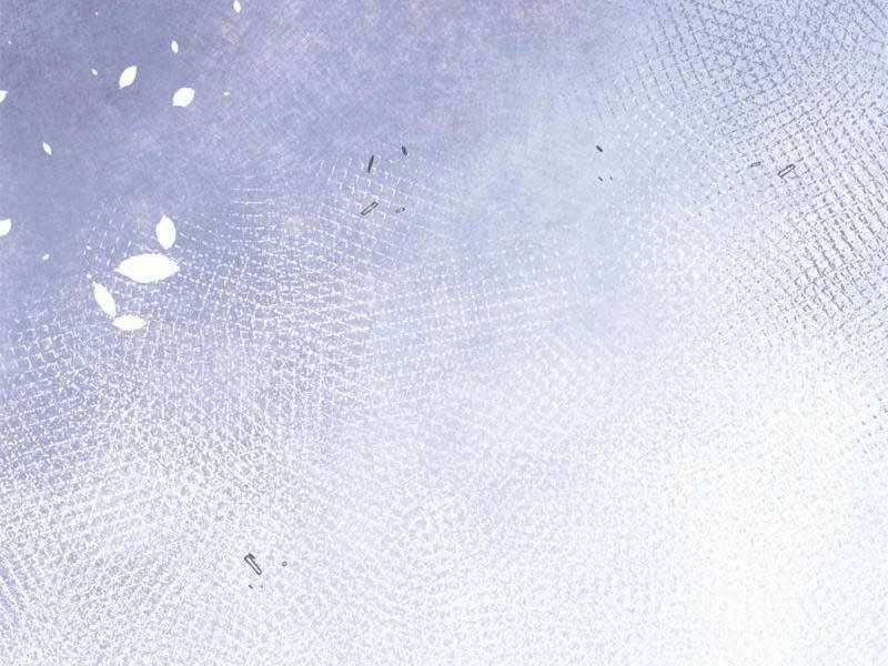 Cái Bóng Vạn Năng Chapter 164 - 66