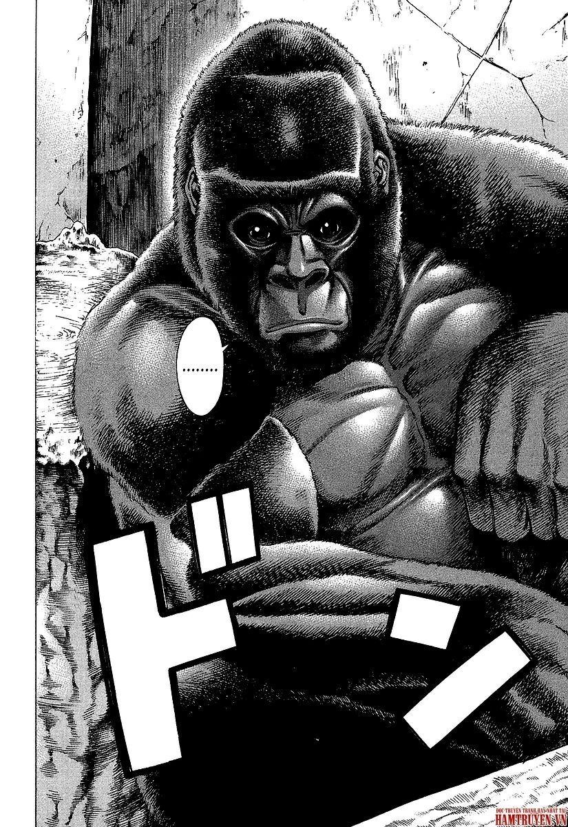 Karate Shoukoushi Kohinata Minoru Chapter 251 - 7