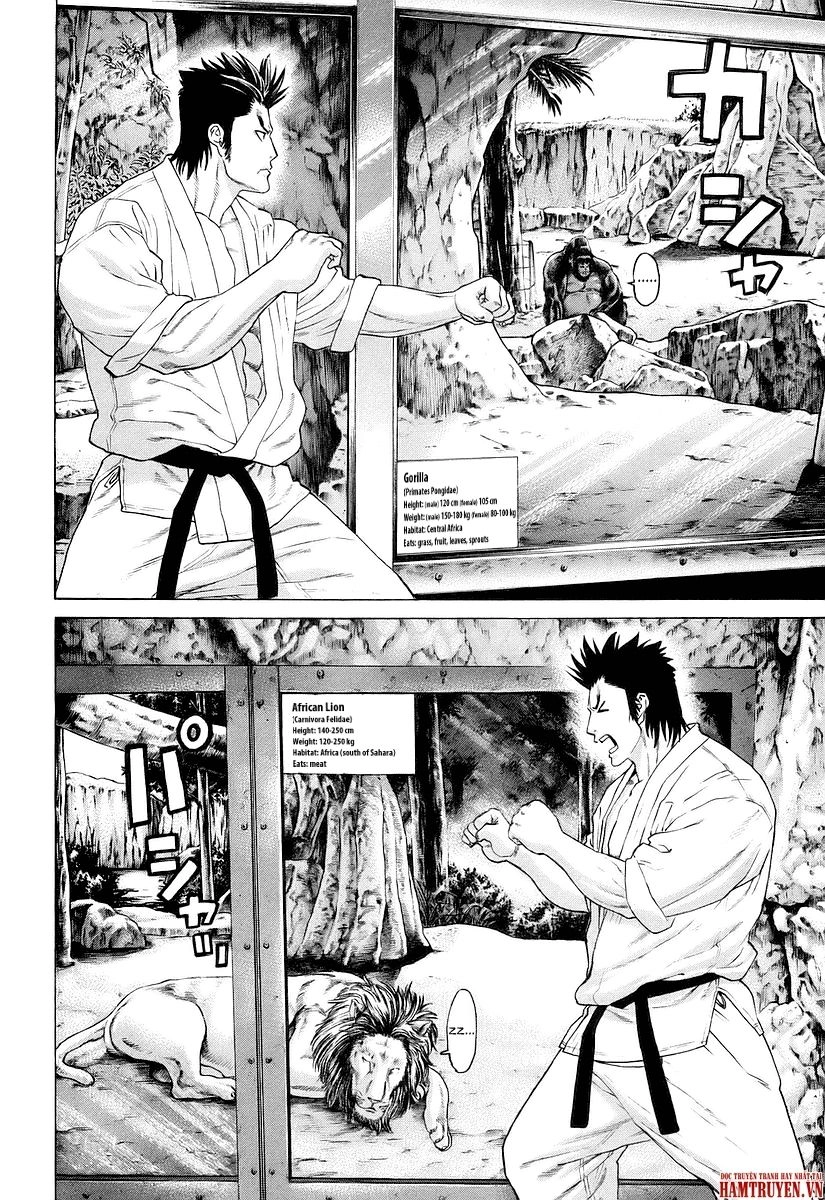 Karate Shoukoushi Kohinata Minoru Chapter 251 - 9