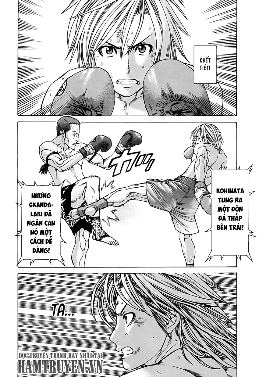 Karate Shoukoushi Kohinata Minoru Chapter 259 - 11