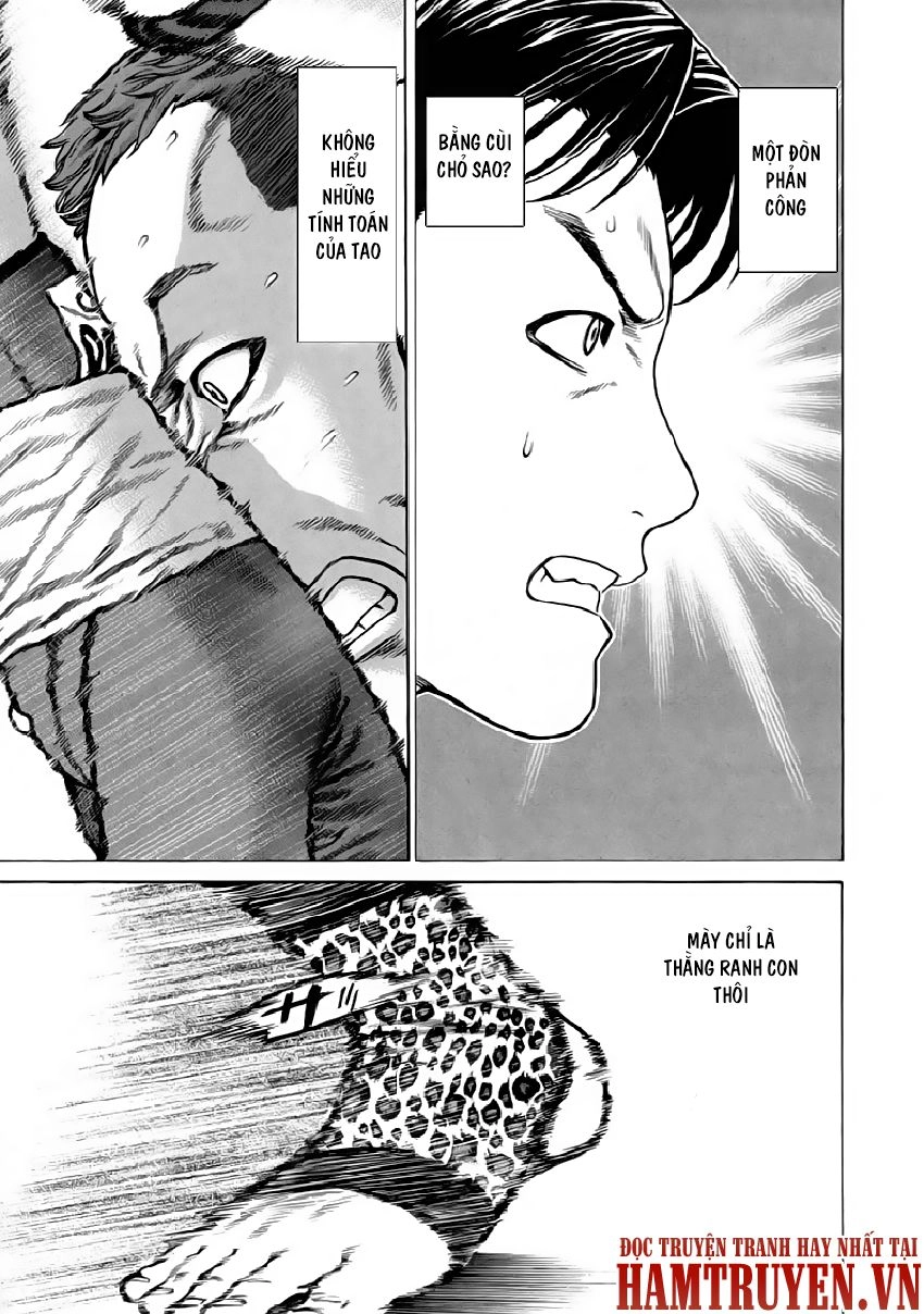 Karate Shoukoushi Kohinata Minoru Chapter 264 - 14