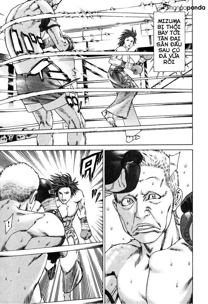 Karate Shoukoushi Kohinata Minoru Chapter 323 - 5