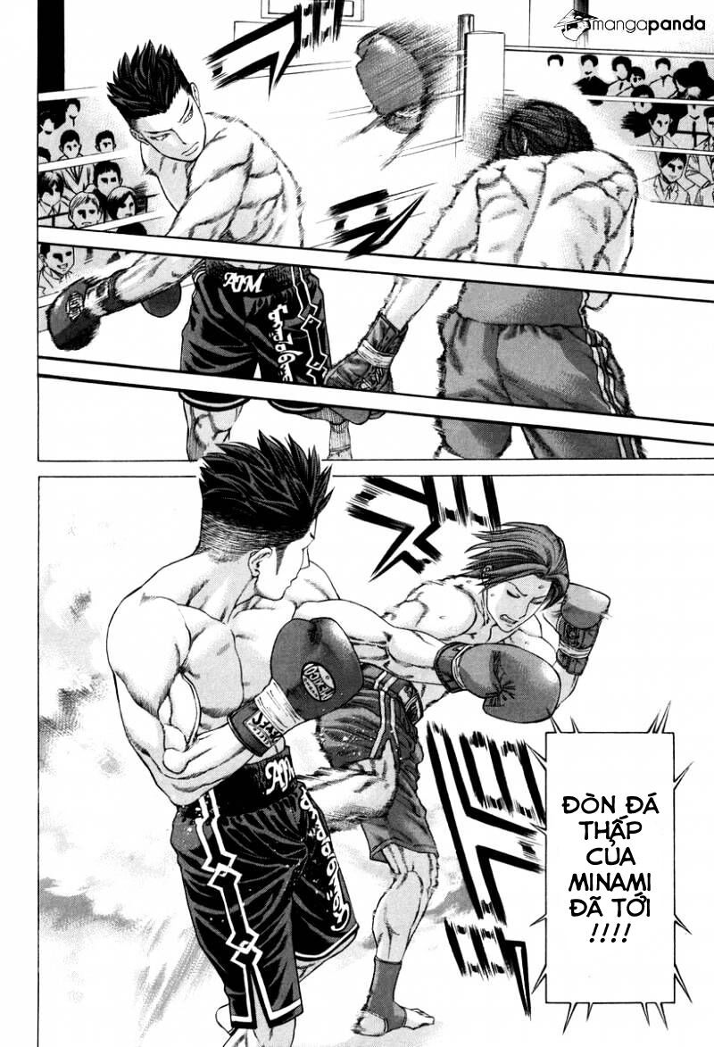 Karate Shoukoushi Kohinata Minoru Chapter 325 - 18