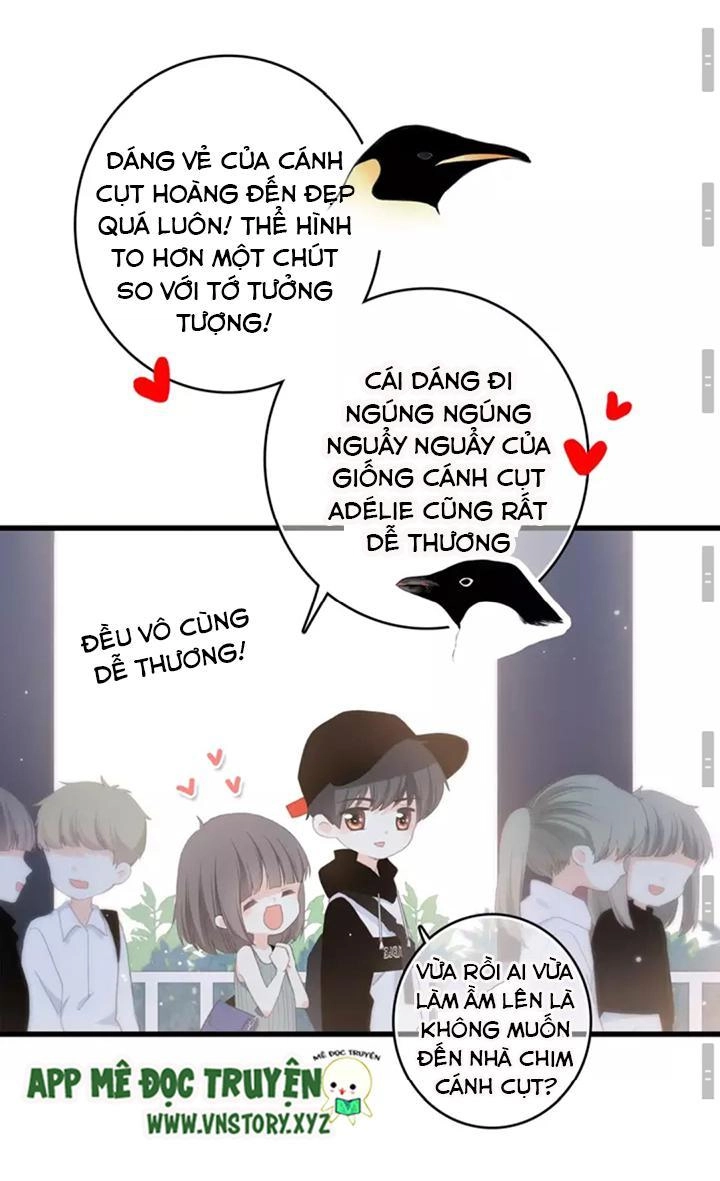 Con Tim Rung Động 2 Chapter 15 - 19