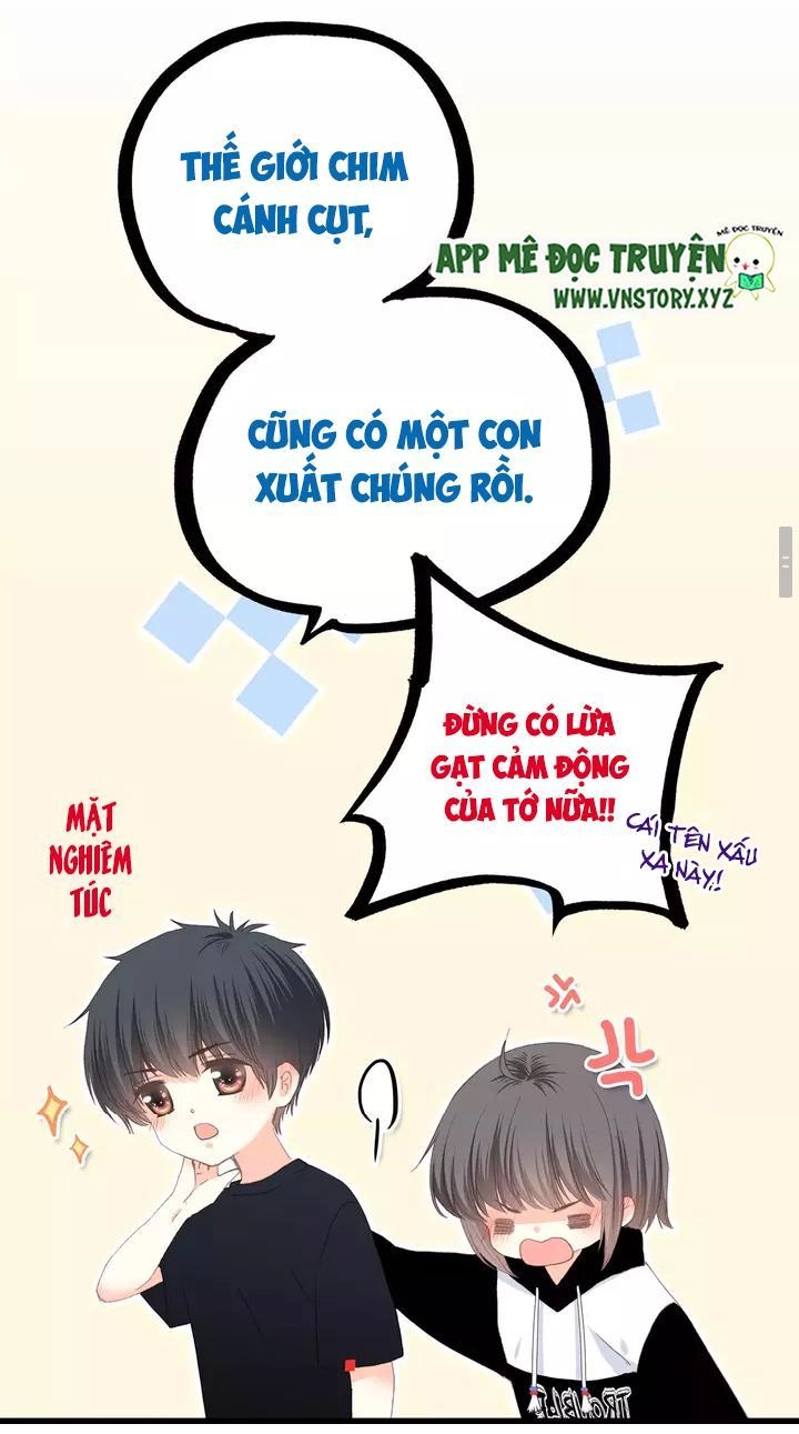 Con Tim Rung Động 2 Chapter 20 - 41