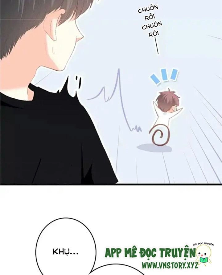 Con Tim Rung Động 2 Chapter 34 - 43