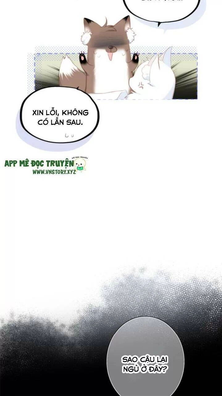 Con Tim Rung Động 2 Chapter 123 - 20