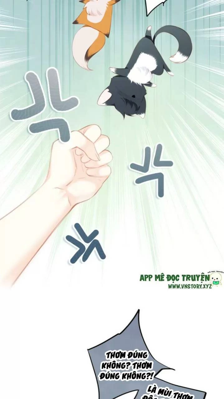 Con Tim Rung Động 2 Chapter 124 - 27