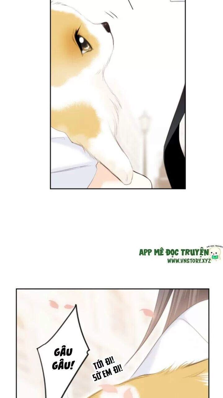 Con Tim Rung Động 2 Chapter 127 - 12