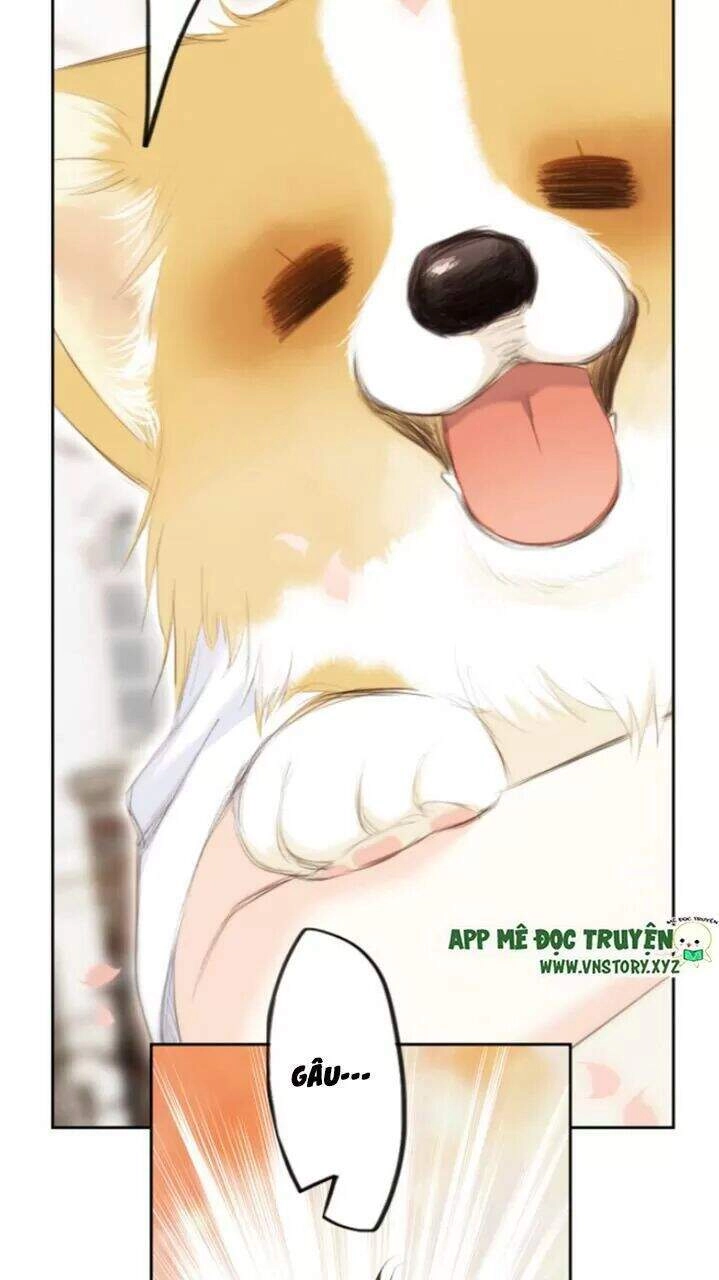 Con Tim Rung Động 2 Chapter 127 - 13