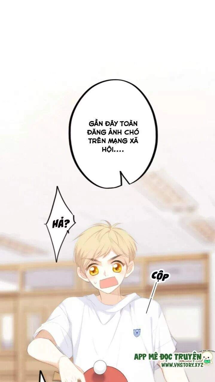 Con Tim Rung Động 2 Chapter 127 - 19