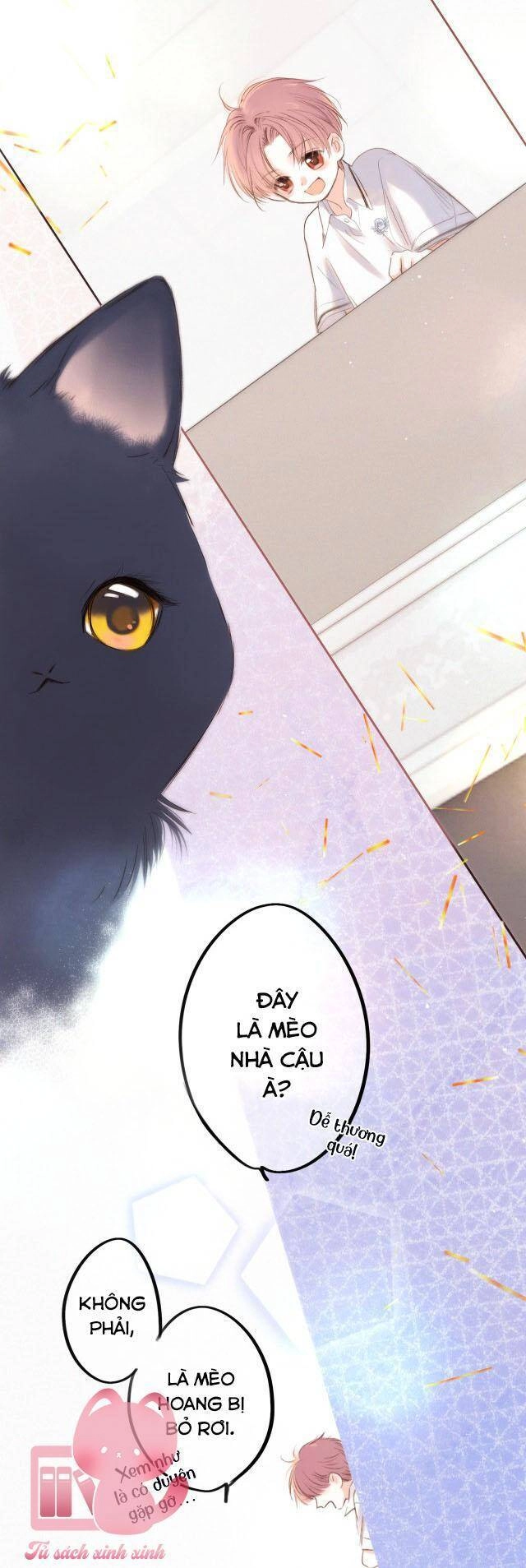 Con Tim Rung Động 2 Chapter 181 - 4