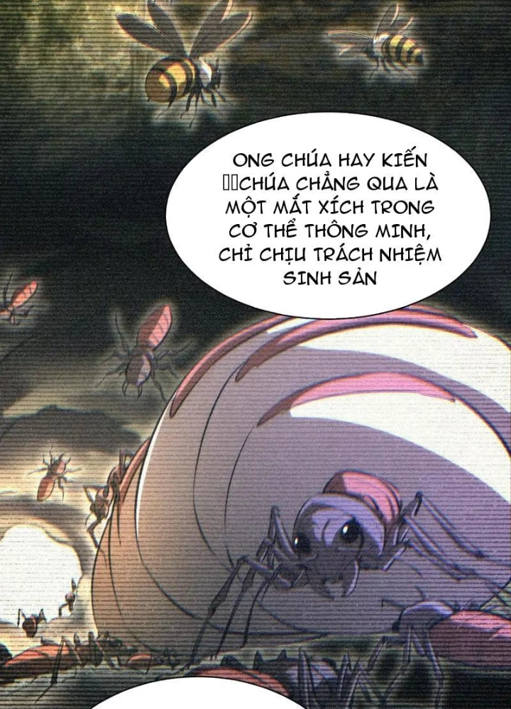 Mạt Thế Trùng Sinh: Ta Dựa Vào Mở Rương Vấn Dỉnh Đỉnh Phong Chapter 70 - 87