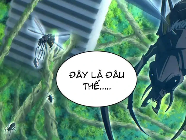 Mạt Thế Trùng Sinh: Ta Dựa Vào Mở Rương Vấn Dỉnh Đỉnh Phong Chapter 83 - 72