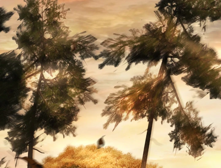 Ác Chi Hoàn Chapter 76 - 50