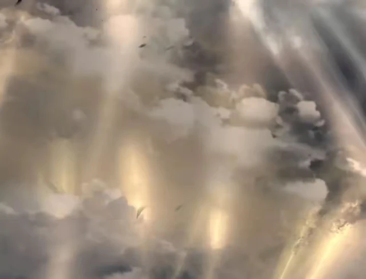 Ác Chi Hoàn Chapter 81 - 68