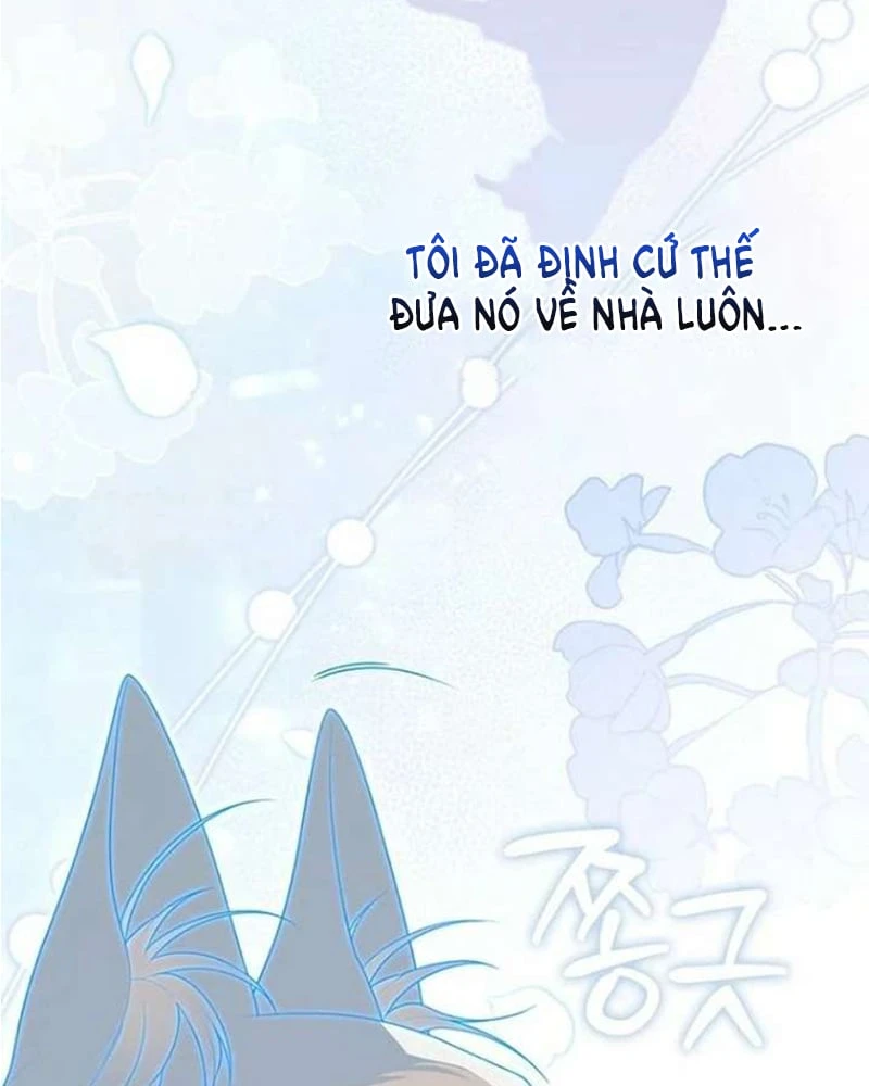 Nàng Công Chúa Tiên Tri Chapter 145 - 11
