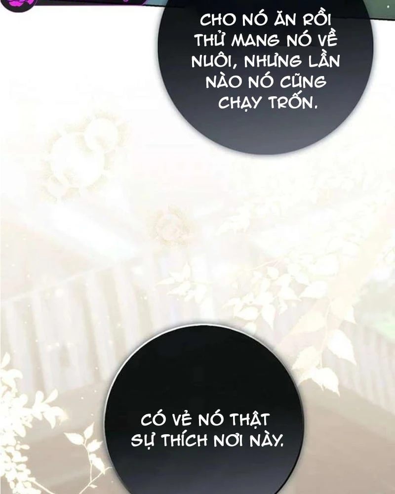 Nàng Công Chúa Tiên Tri Chapter 145 - 19