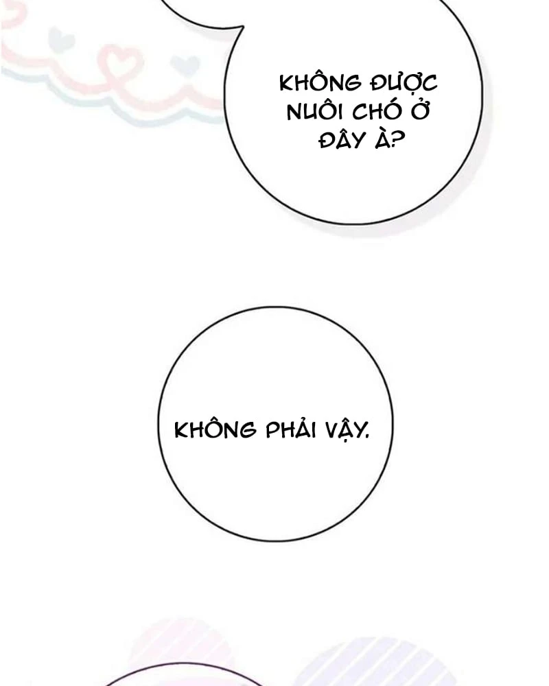 Nàng Công Chúa Tiên Tri Chapter 145 - 34